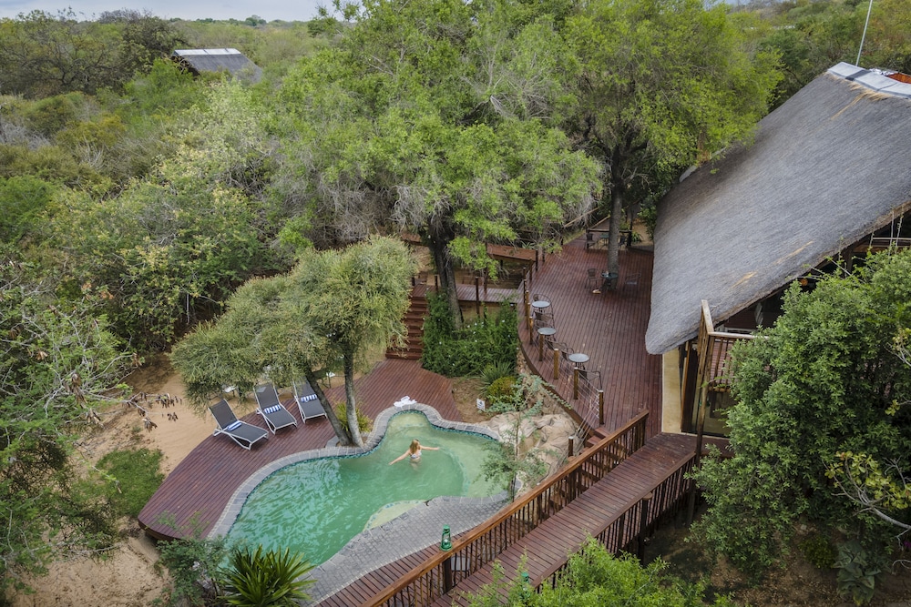 Panzi Lodge 41/50