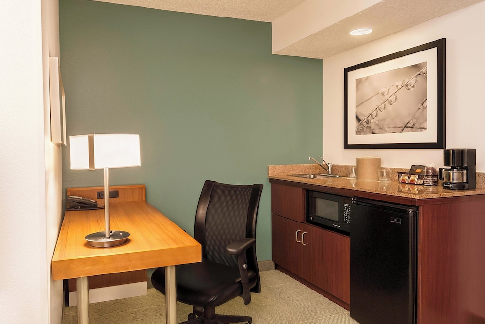Springhill Suites By Marriott Baton Rouge South 26/32