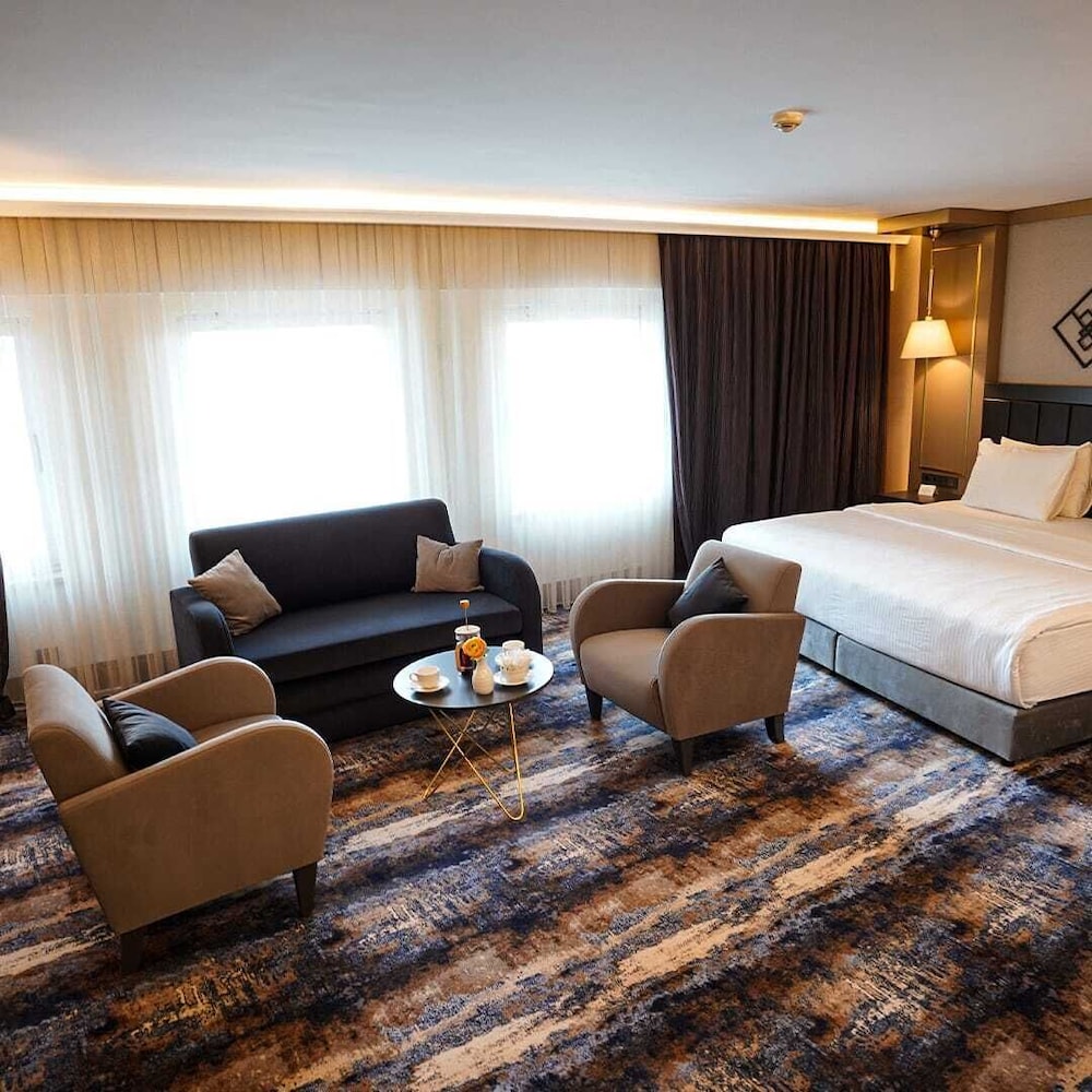 Ankara Plaza Hotel 30/66