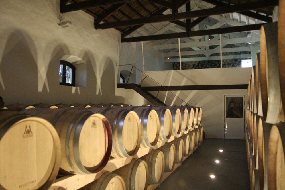 Hotel Bodega El Juncal 18/50