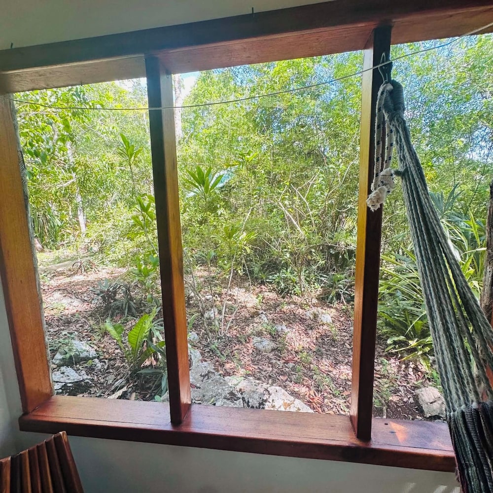 Mariposa Jungle Lodge 22/50