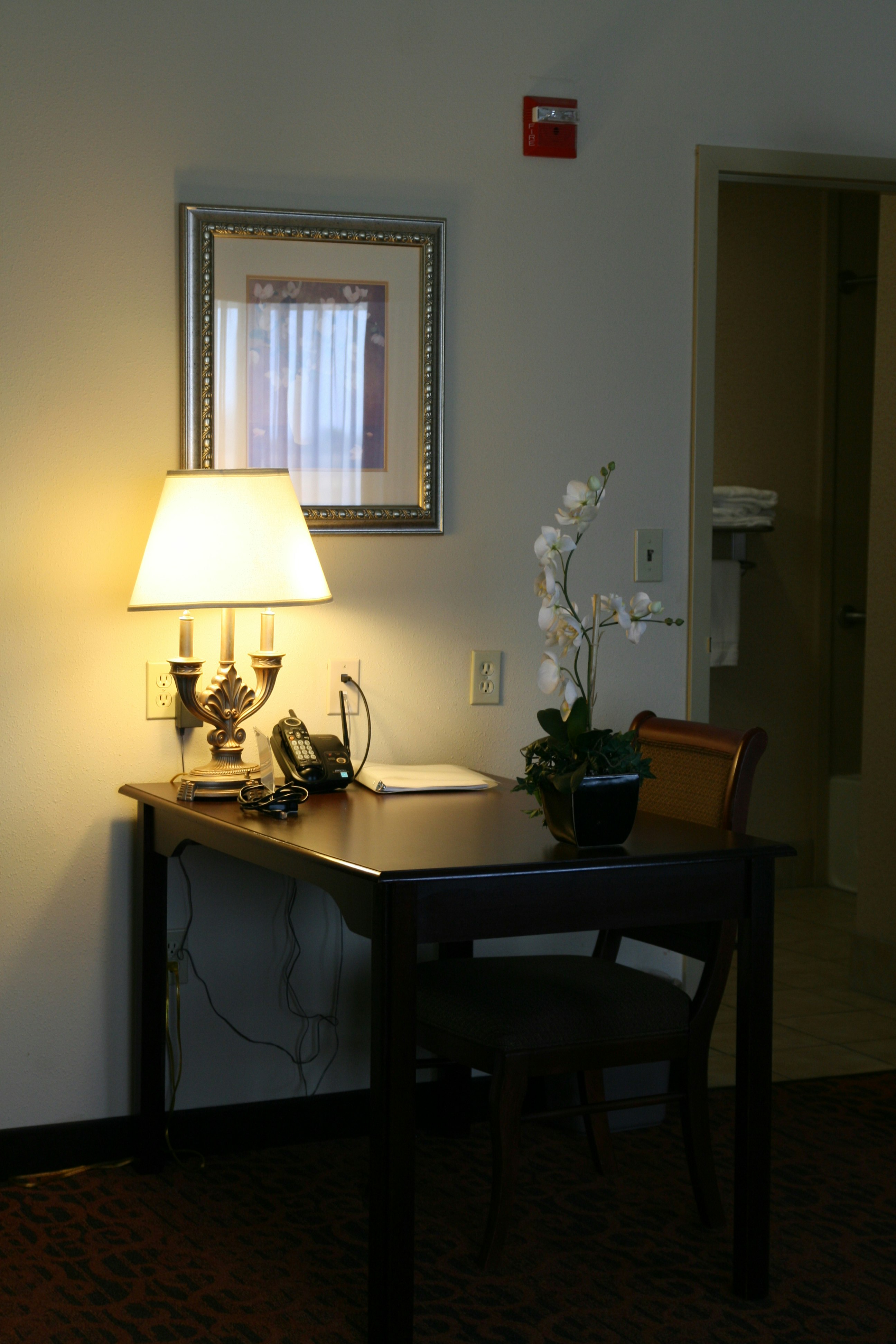 Hampton Inn Fort Stockton 12/49