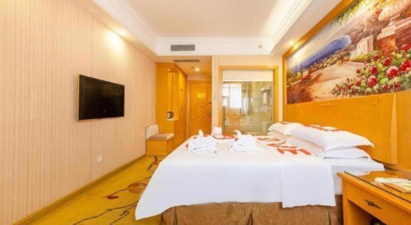 Vienna Hotel (Shenzhen Bantian Vanke Diwuyuan) 42/49