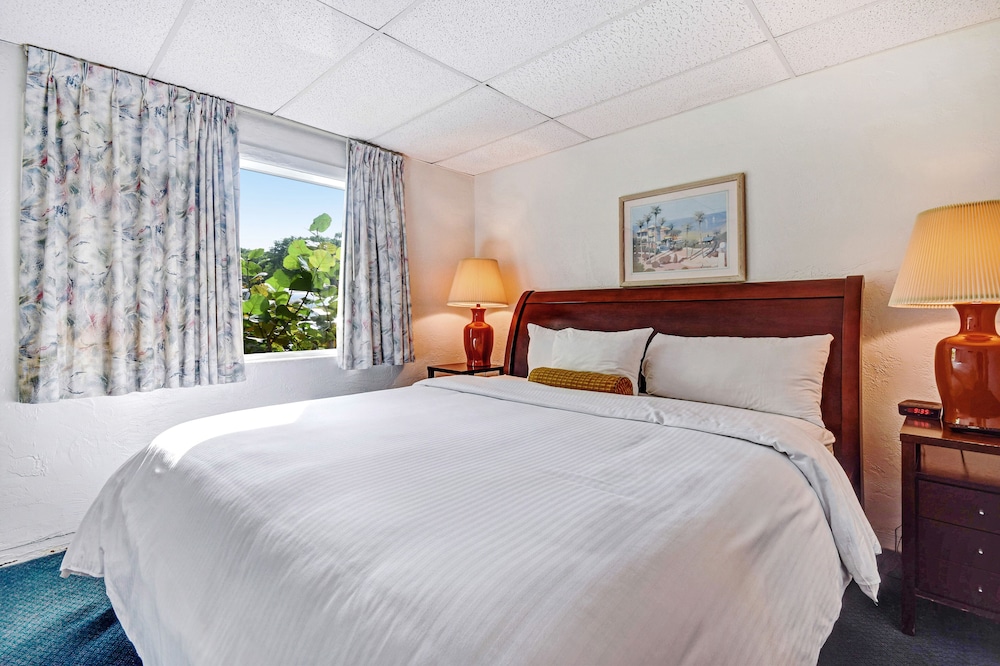 Rodeway Inn Suites 17/28