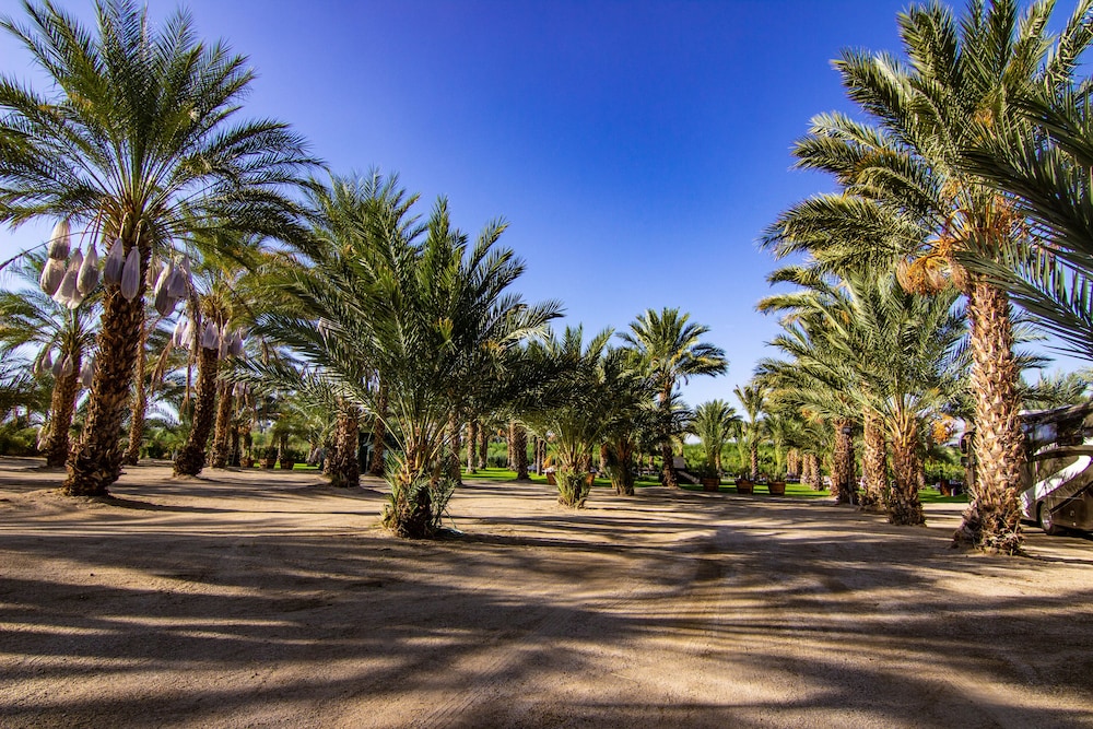 Festival Campgrounds Rancho 51 34/38