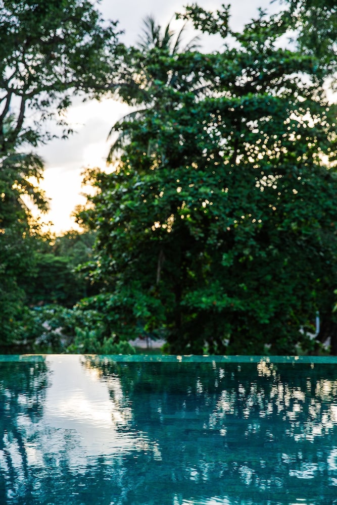 Treeline Urban Resort 41/48
