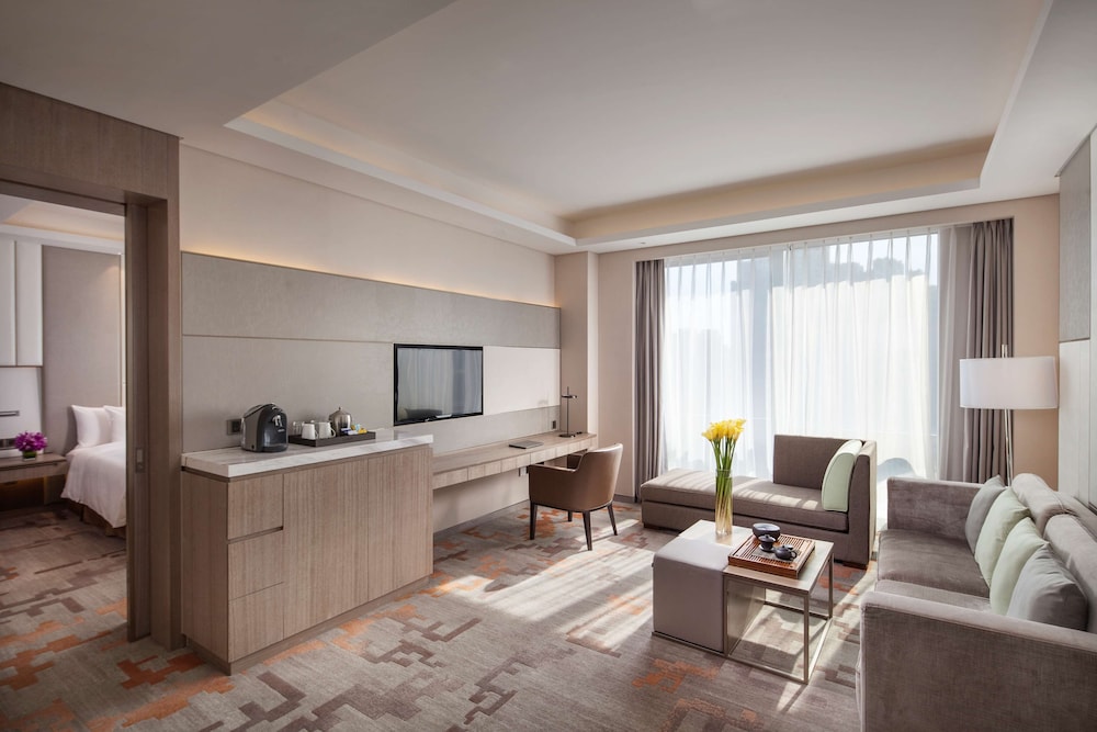Radisson Exhibition Center Shanghai 39/65