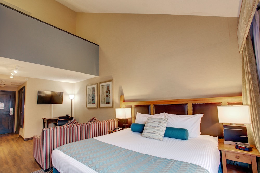 FAMILY, STUDIO, SUITE, MULTIPLE BEDS