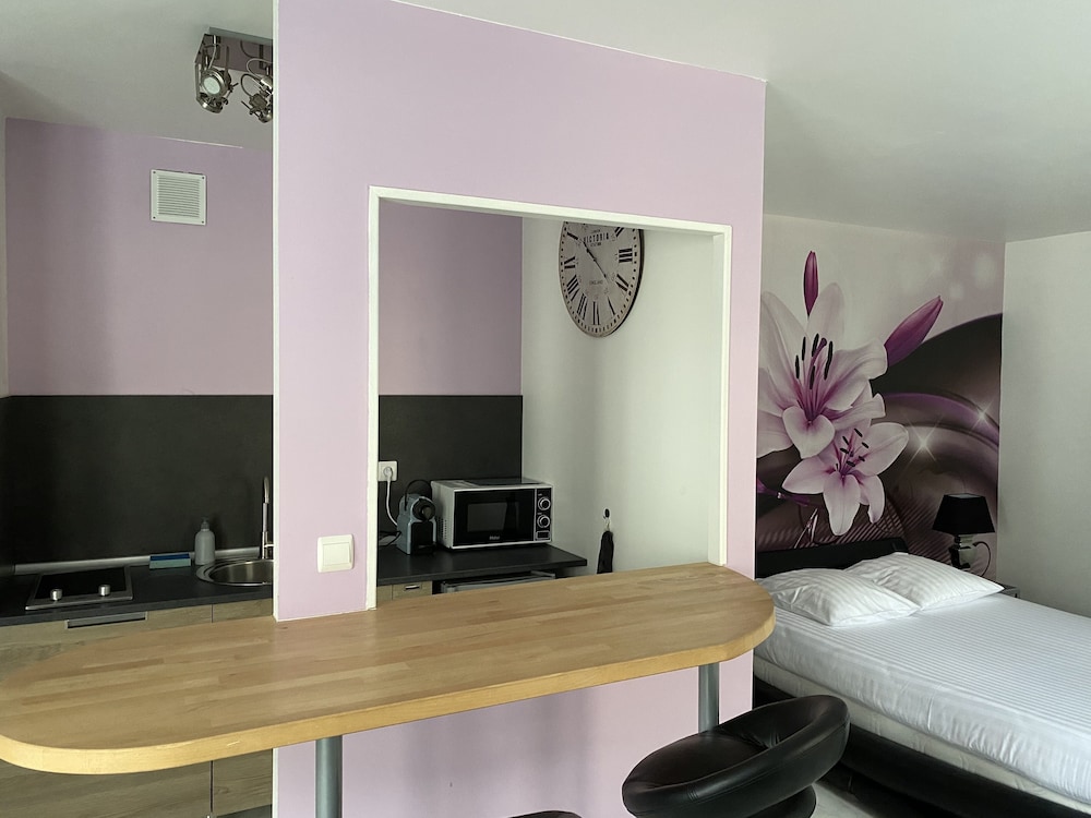 Logis Hotel Du Cirque 38/73