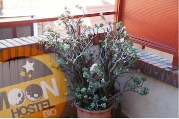 Moon Hostel Bio 4/34
