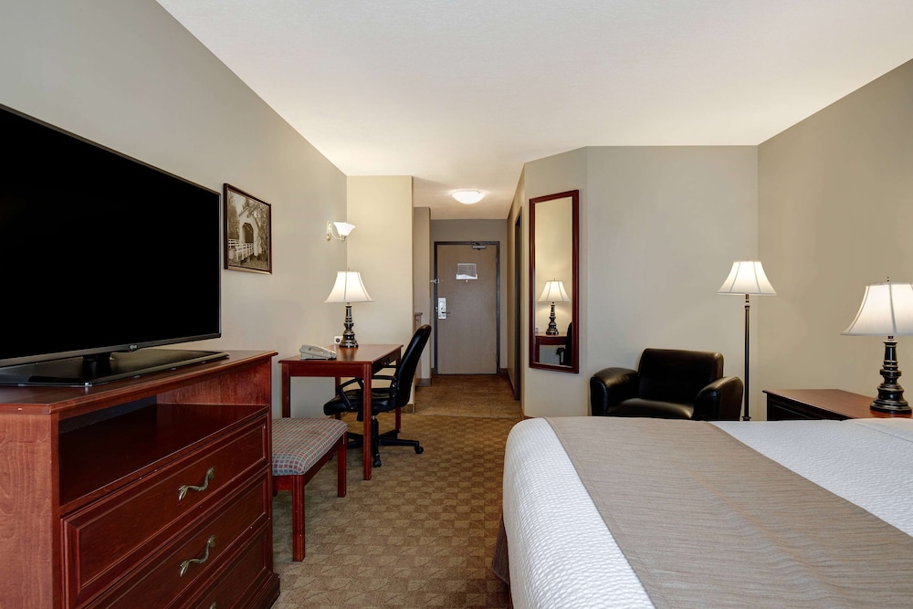 Room, King Bed