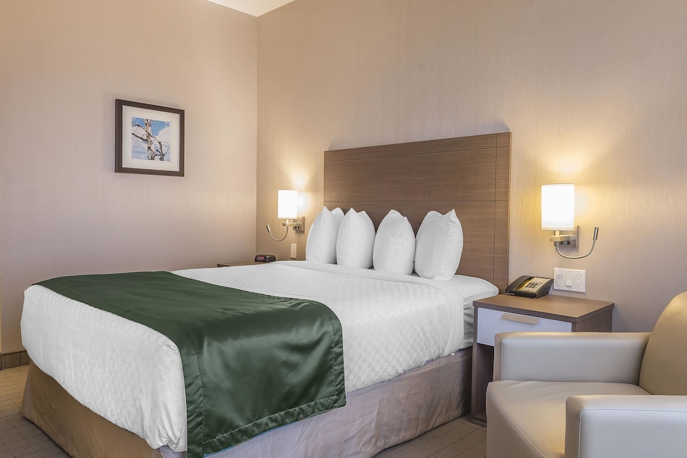 Standard, Queen Bed, Accessible