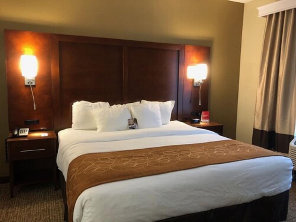 Comfort Suites Forrest City 18/44