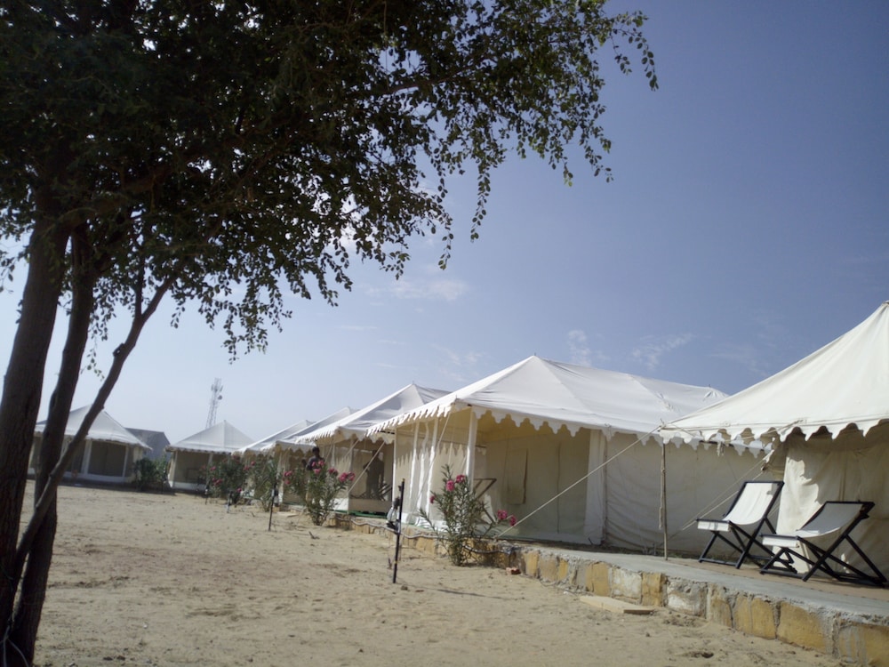 Dynasty Desert Camp 37/50