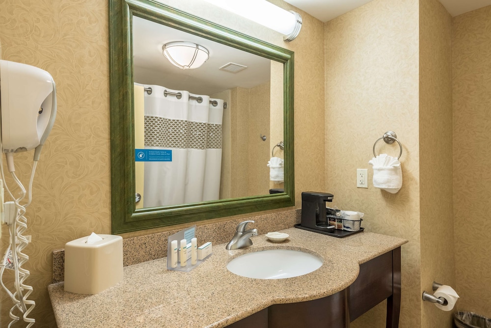Hampton Inn & Suites Orlando-South Lake Buena Vista 24/49