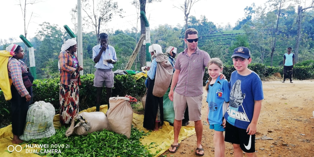 Rajarata Lodge 32/50