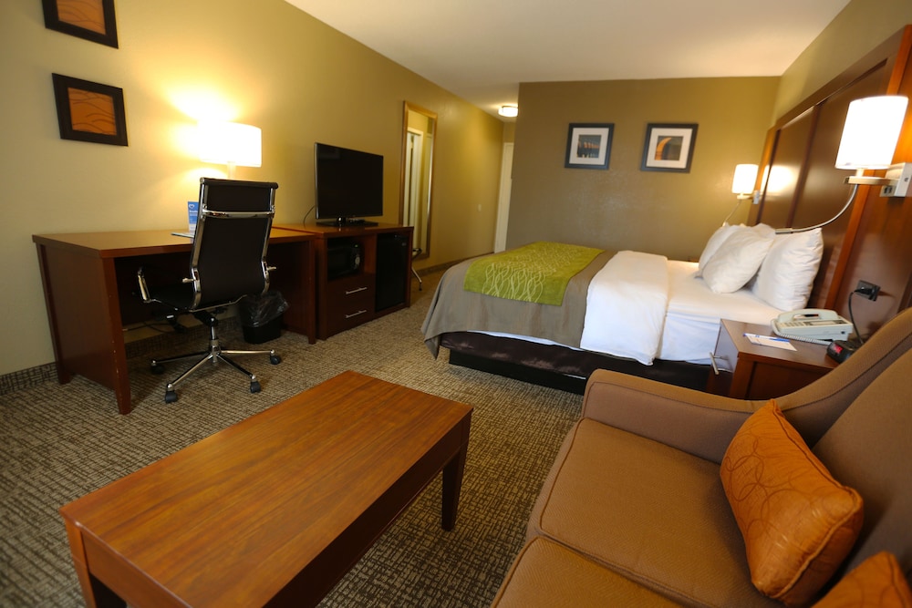 Comfort Inn MSP Airport - Mall Of America 32/43