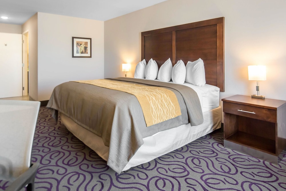 Comfort Inn & Suites Lovington, NM 11/39