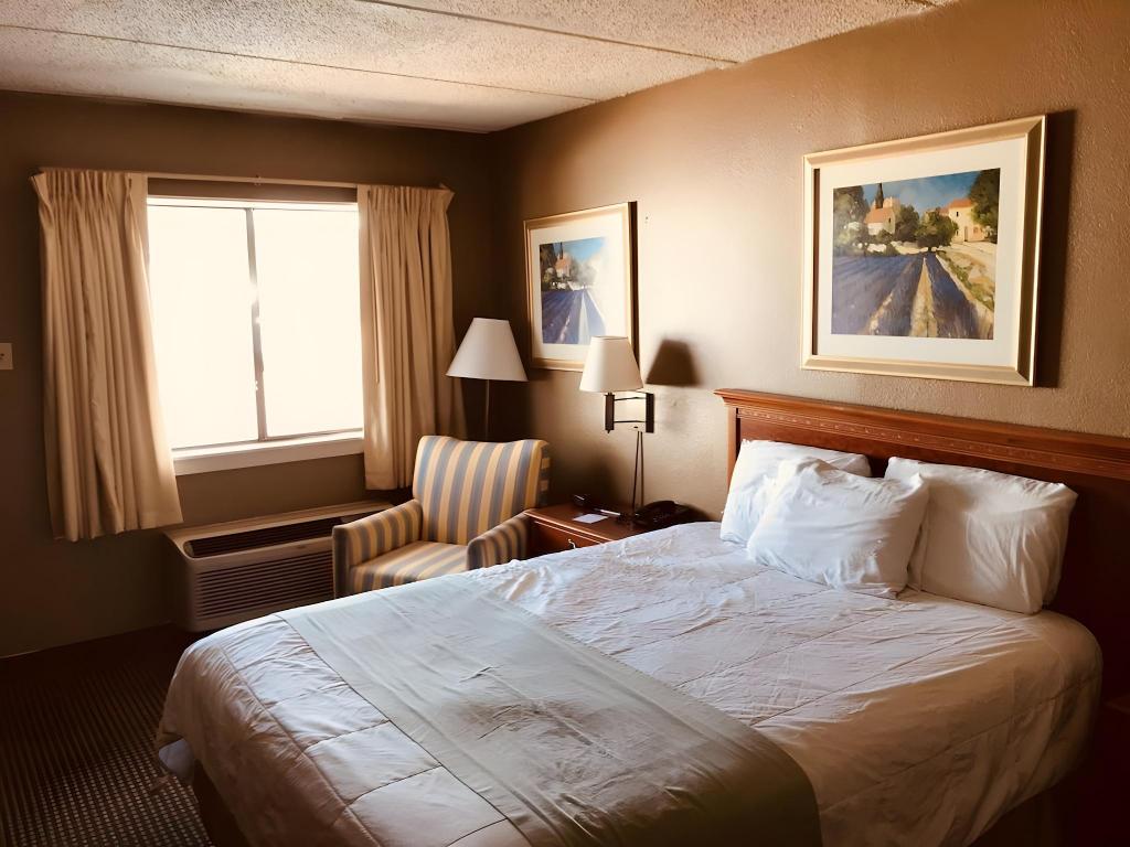 Room, King Bed, Queen Bed