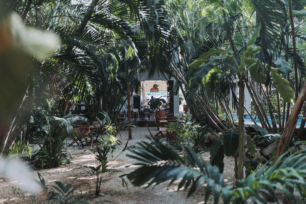 Casa Barbara 58/63