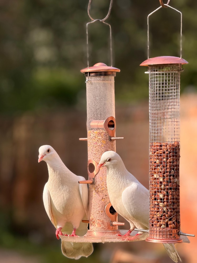 セント マーガレッツ ホテル 写真4