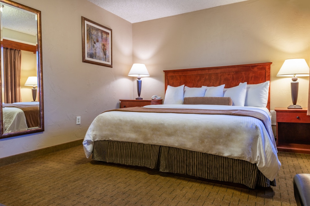 Best Western Vista Inn At The Airport 17/47