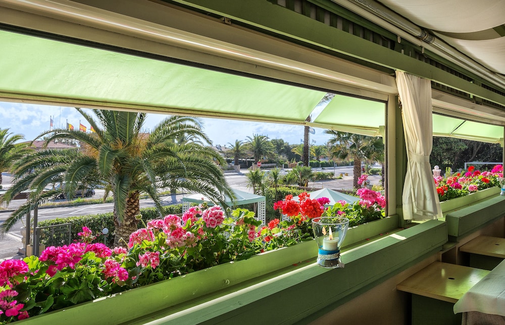 Hotel Siesta 34/66