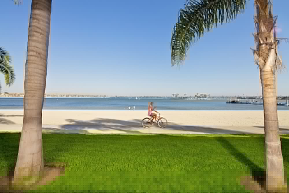 Catamaran Resort Hotel and Spa 41/83