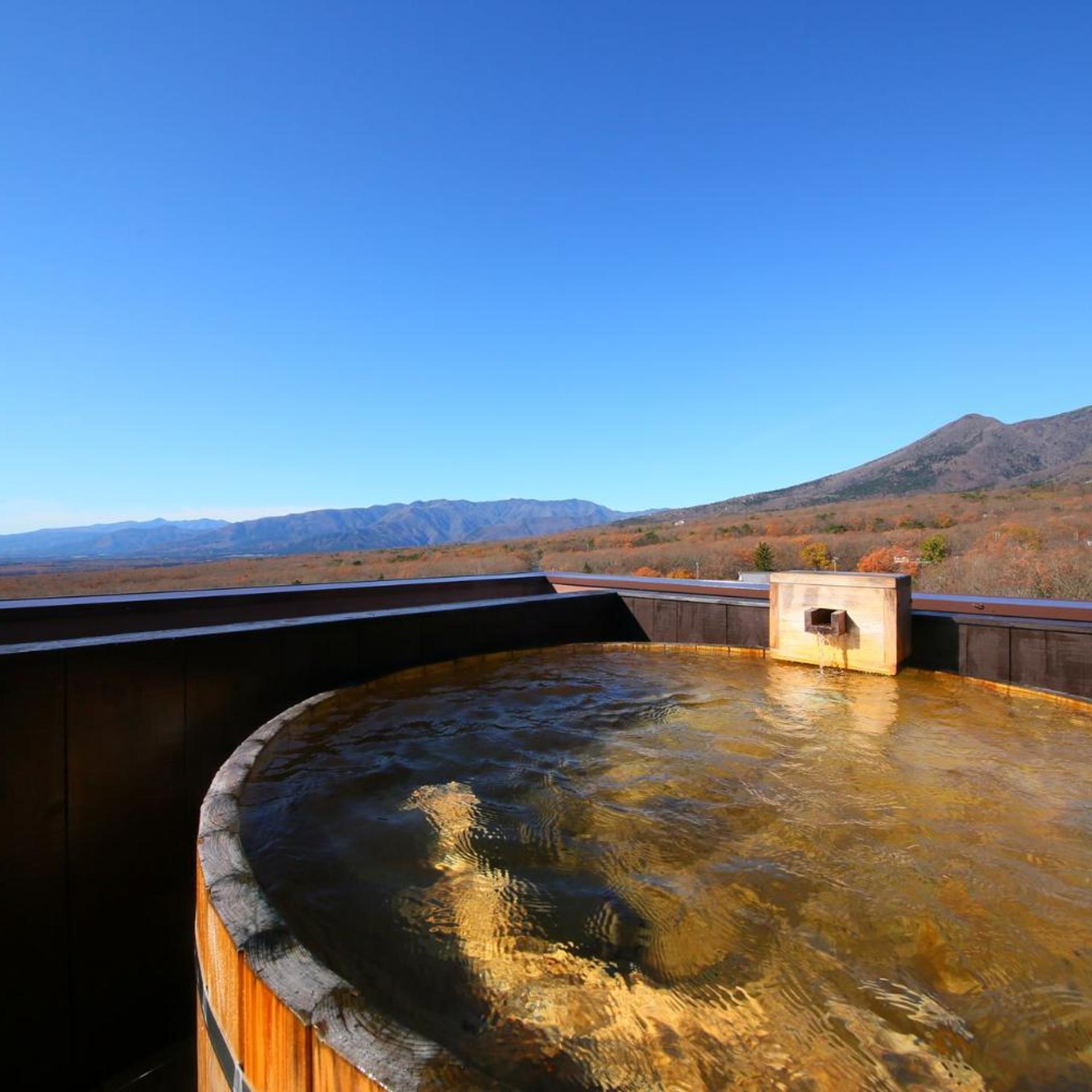 Nasu Ichiya Hotel 26/26