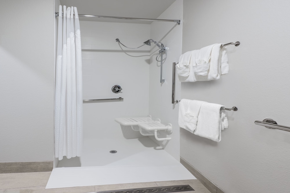 Holiday Inn Express & Suites Bryan 22/69