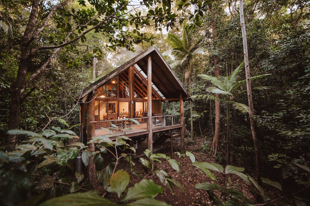 The Canopy Treehouses 4/25