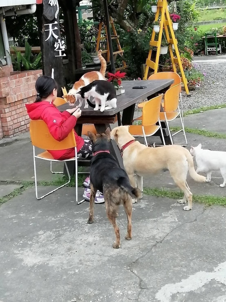 Cat Sky Country Homestay 34/45
