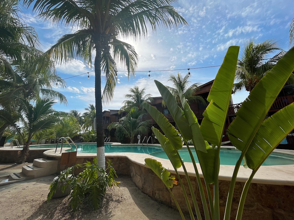 COCONUT BY OOL HOTELS 39/43