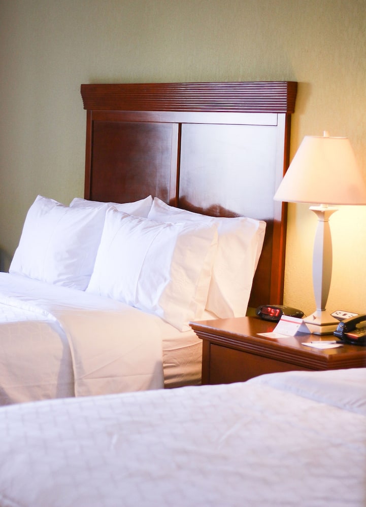 Holiday Inn Express Hotel And Suites Center Tx 28/76