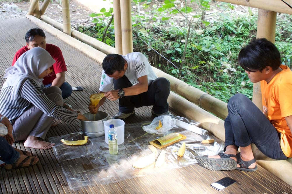 Ecolodge Bukit Lawang 40/58