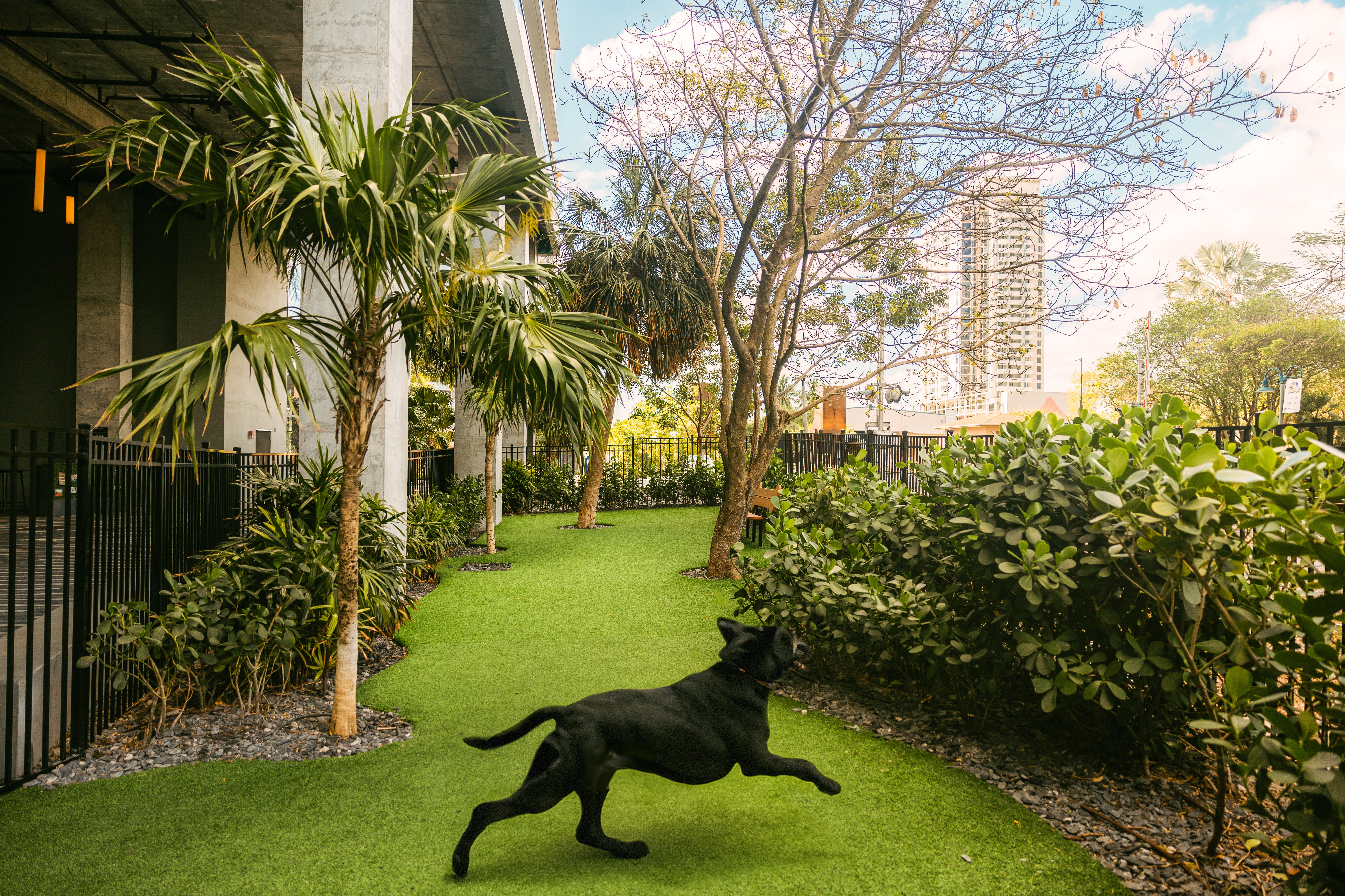 Flow Hotel Fort Lauderdale 36/45