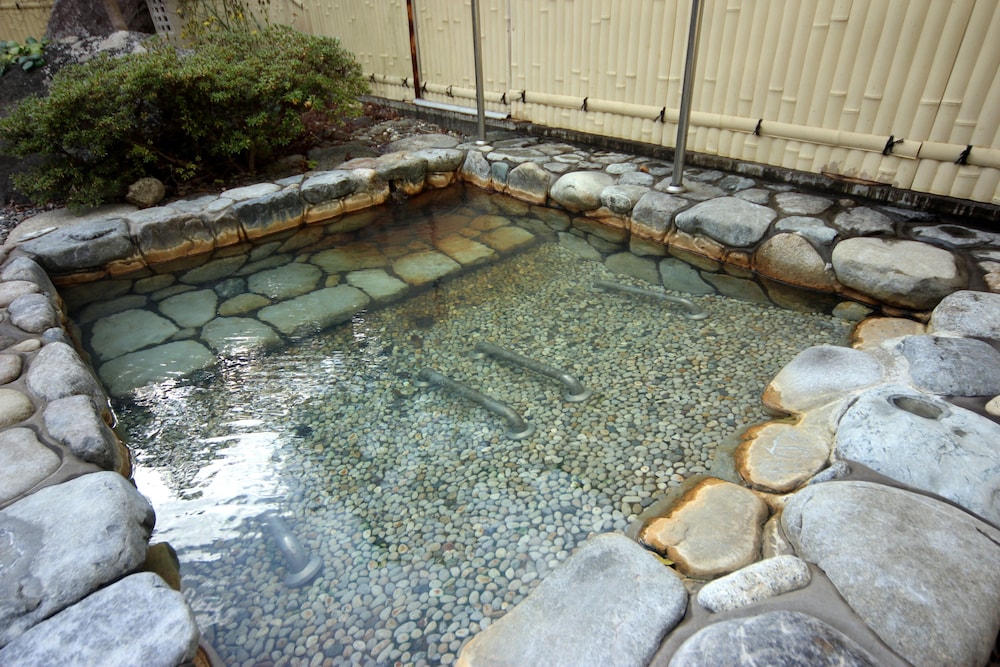 Totsukawa Onsen Hotel Subaru 3/19