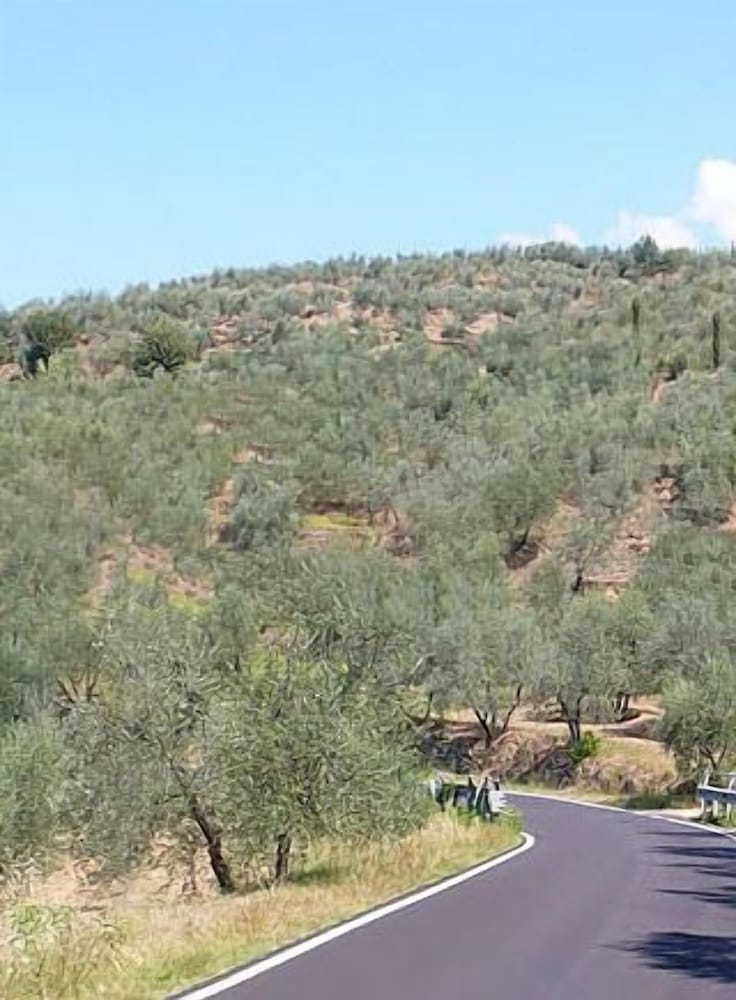 L'antico Trullo 40/47