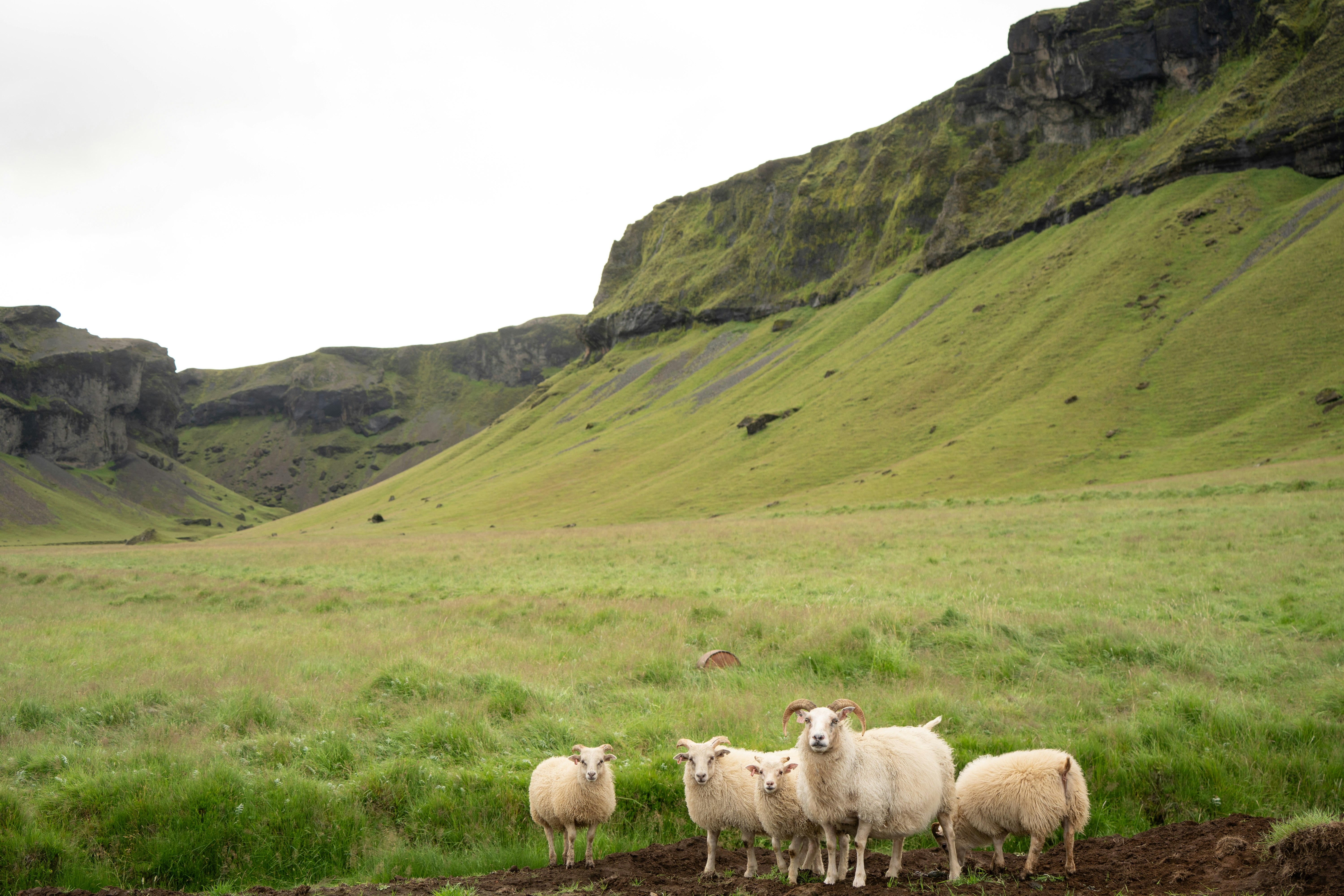 Adventure Hotel Geirland 63/68