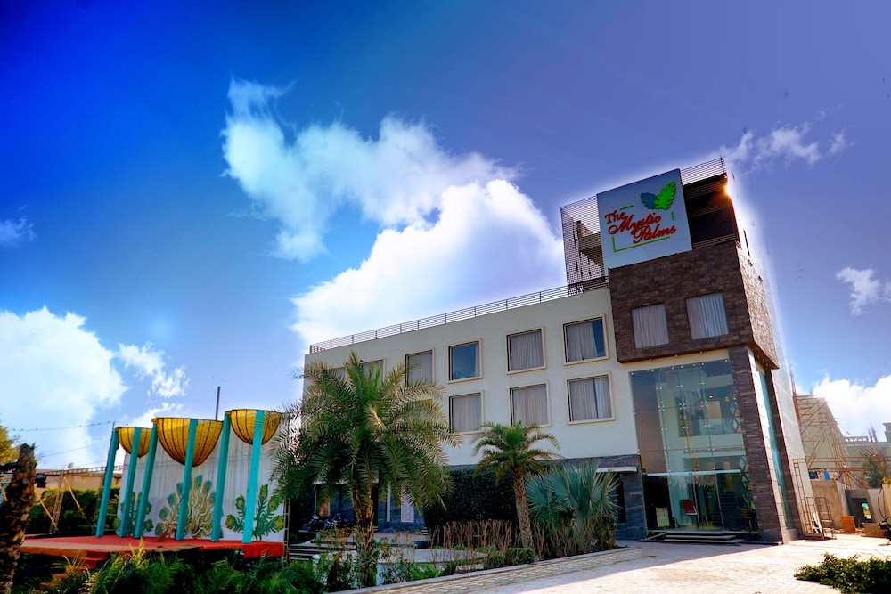 The Mystic Palms 8/50