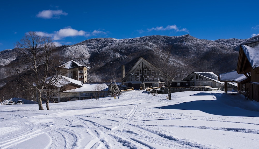 Okushiga Kogen 35/37