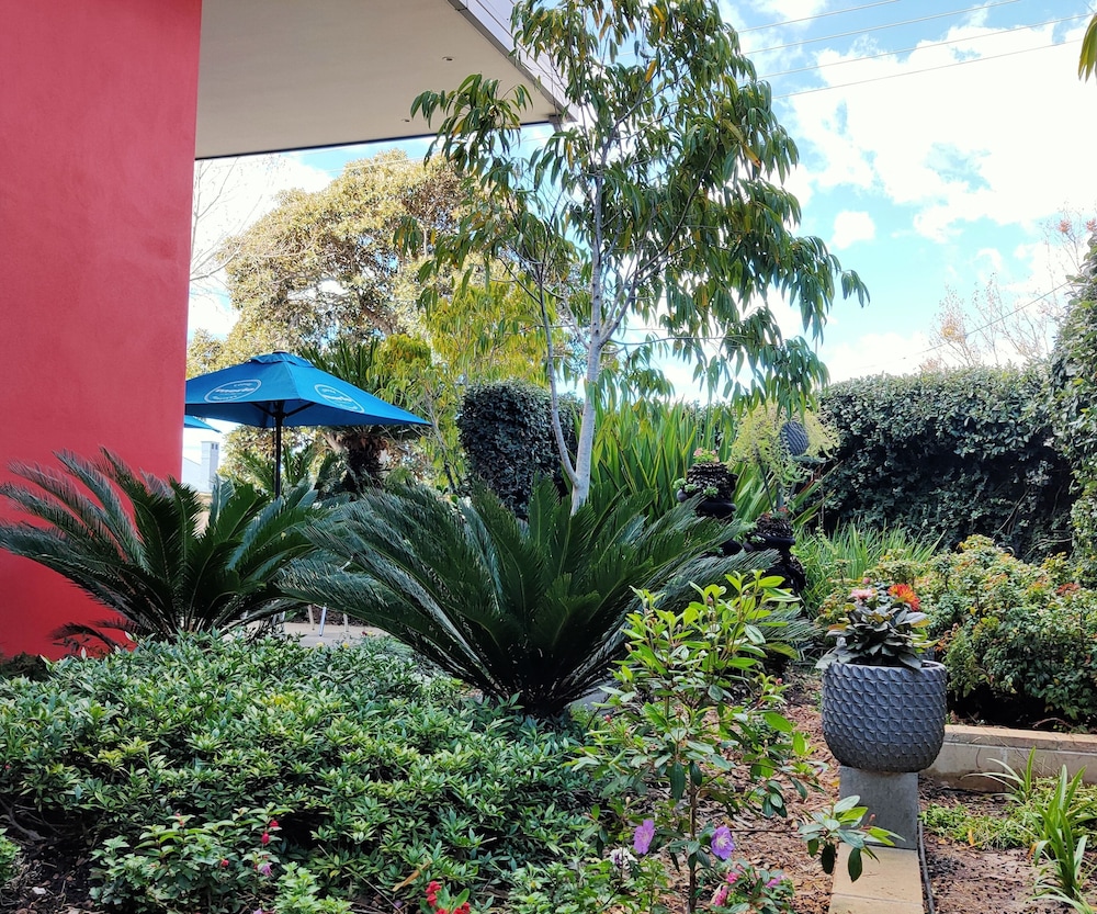 Laguna Apartments 61/67