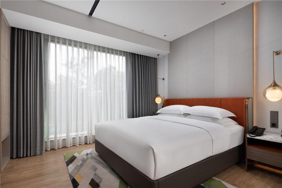 Deluxe, Studio, Suite, King Bed