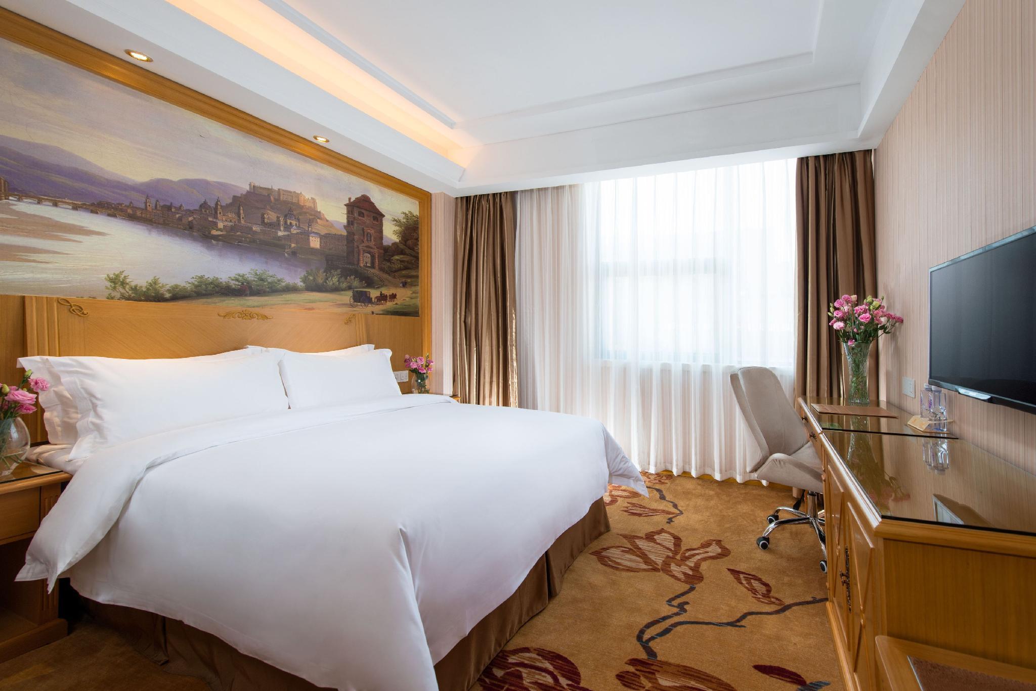 Vienna hotel (Huidong and run pedestrian street) 34/55