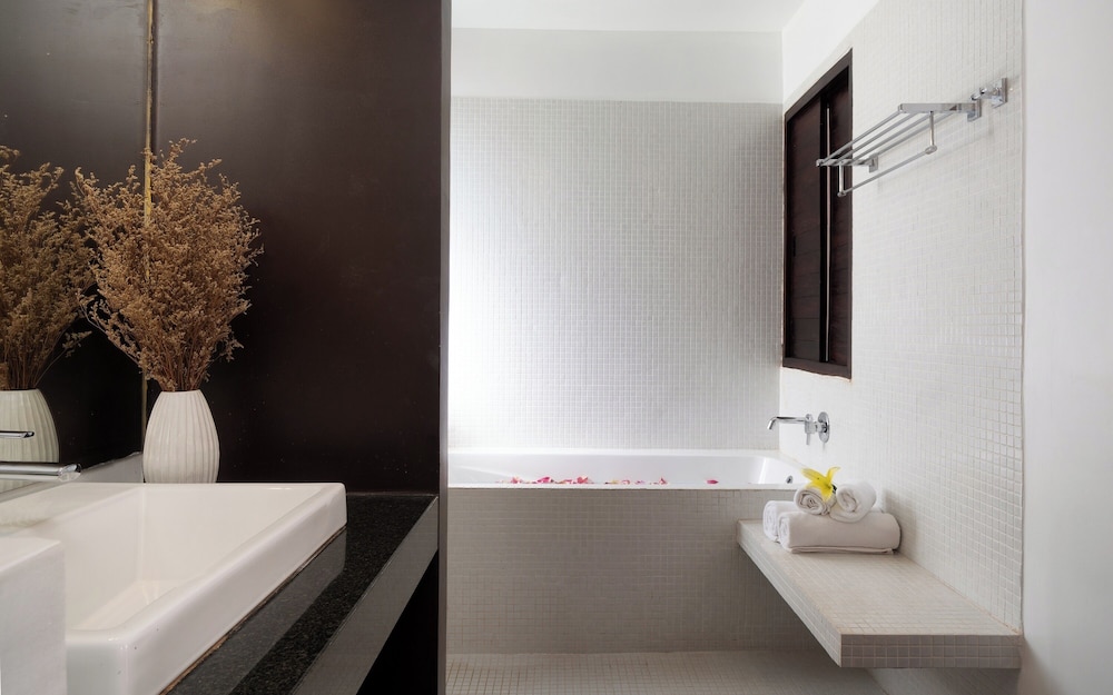 The Calm Oasis 50/50
