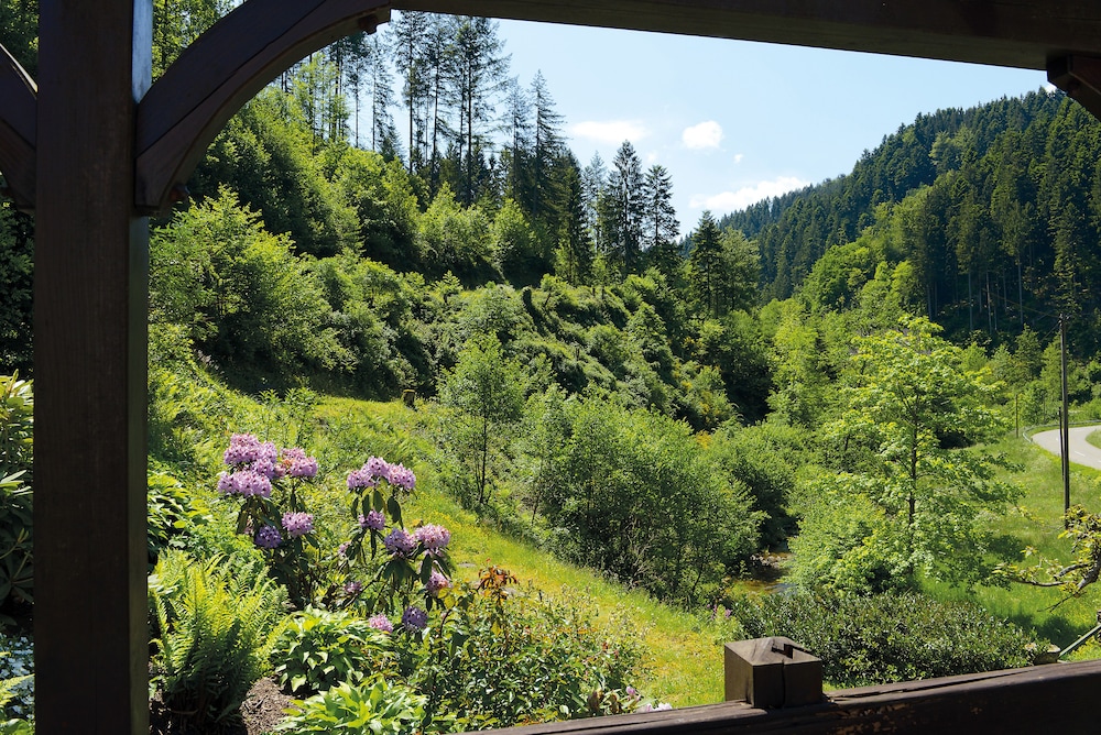 Gasthof Blume 40/50