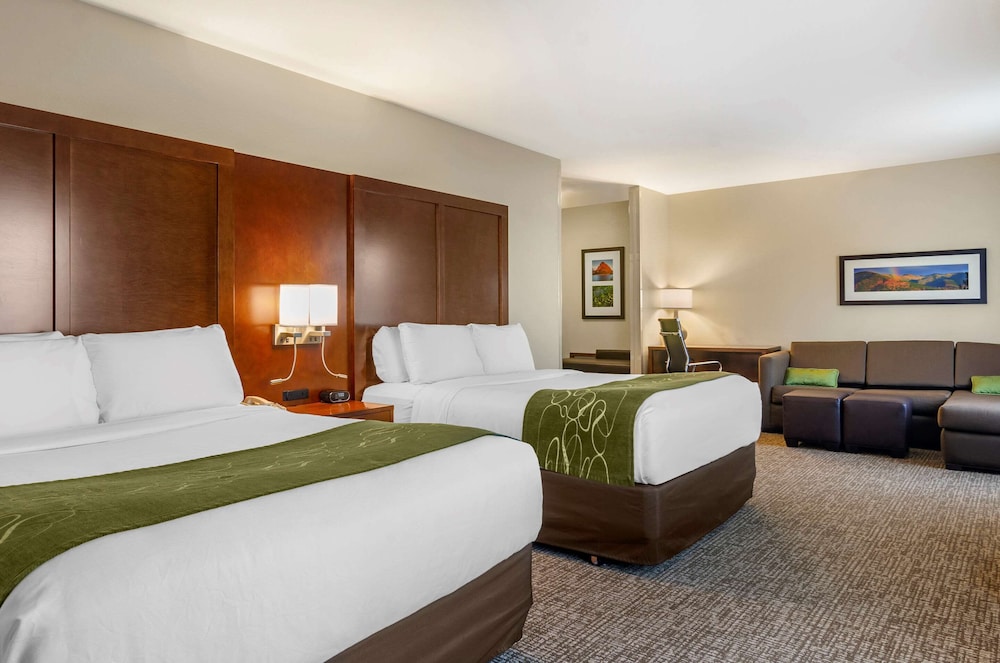 Comfort Suites Helena Airport 11/36
