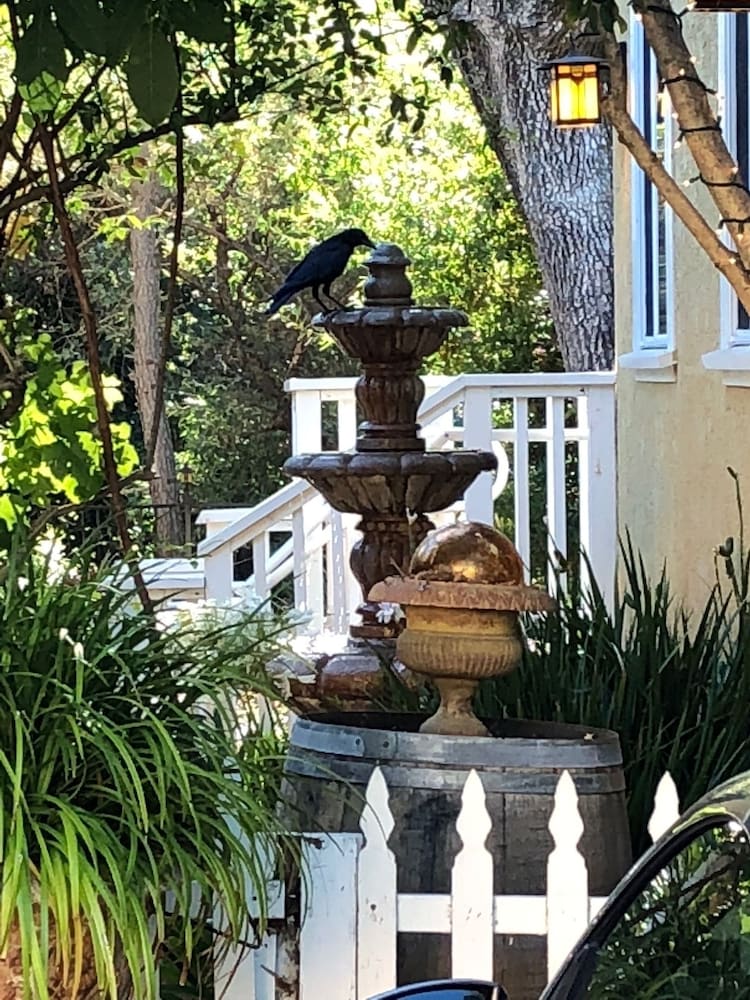 Glen Ellen Inn 5/62