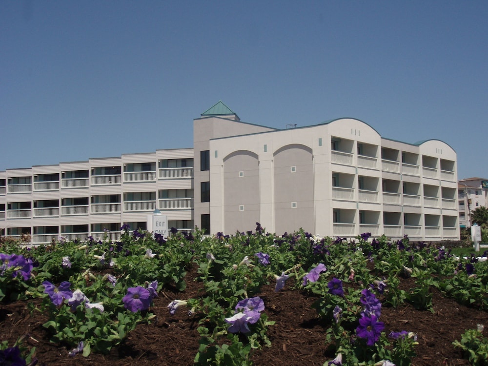 Casa Del Mar Beachfront Suites 11/82