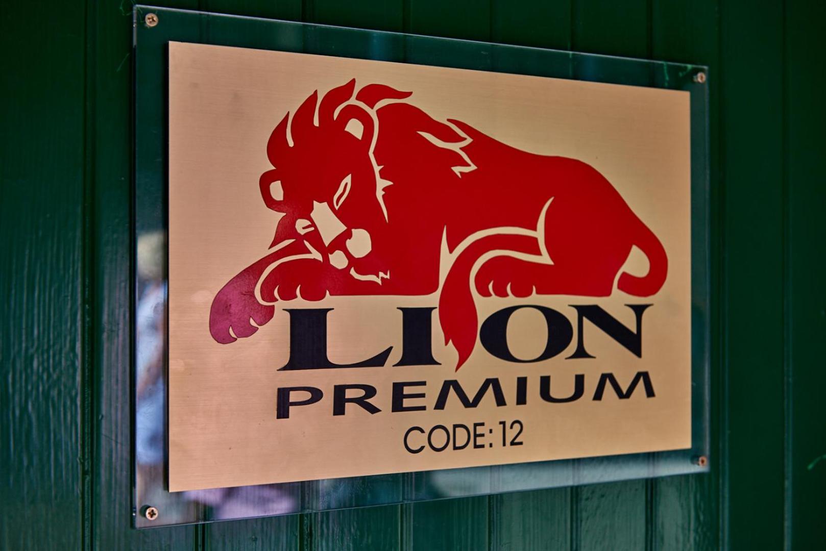 Lion Premium Hotel 59/85